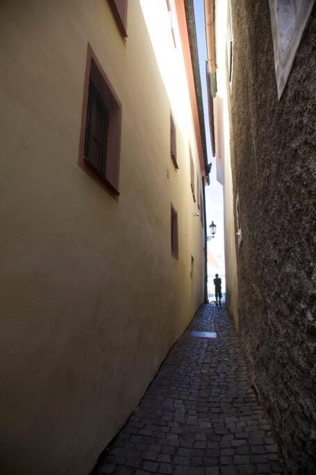 Unesco 14 Century Cesky Krumlov Exterior photo